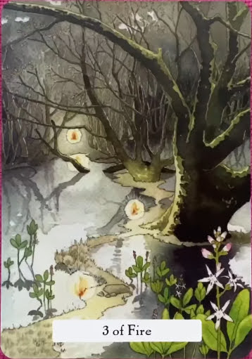 The Witches Wisdom Tarot